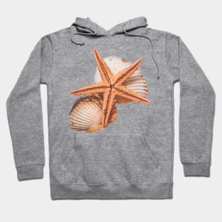 Seashells Beach Sand Summer Holidays Hoodie